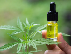 buying cbd online