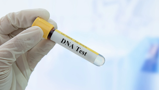 Catch Your Partner If They Are Cheating On You – Prove It By Getting an Infidelity DNA test