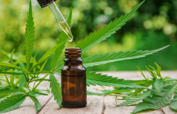 Take The Green Roads Cbd Oil As Per The Guidelines To Get Huge Benefits!
